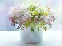 隨影舞動 ZCOOL設(shè)計(jì)師的花卉藝術(shù)探索