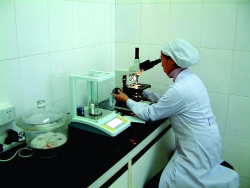 加速轉(zhuǎn)化謀新篇 北大荒集團(tuán)以生物化工技術(shù)重塑市場(chǎng)競(jìng)爭(zhēng)力